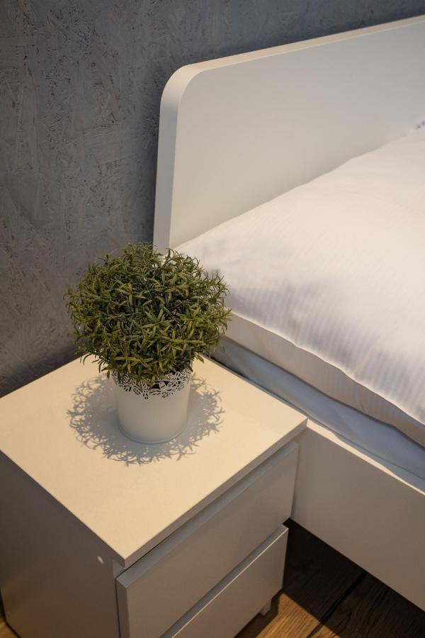فروتسواف Kosciuszki Street Hostel المظهر الخارجي الصورة